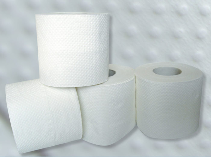 HYGIENE Colis de 4 paquets de 12 Rouleaux de Papier toilette pure ouate 2  plis 144 formats blancs